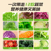 月套餐下单赠沙拉汁|12种新鲜蔬菜缤纷沙拉碗 商品缩略图2