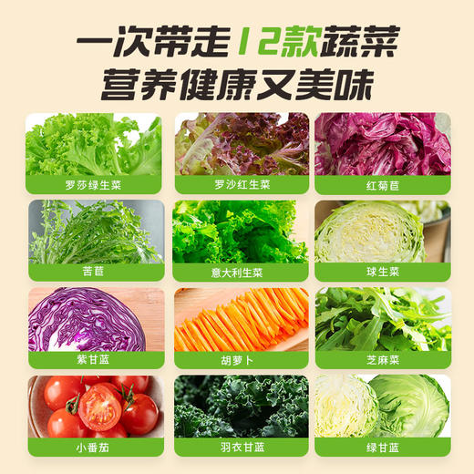 月套餐下单赠沙拉汁|12种新鲜蔬菜缤纷沙拉碗 商品图2
