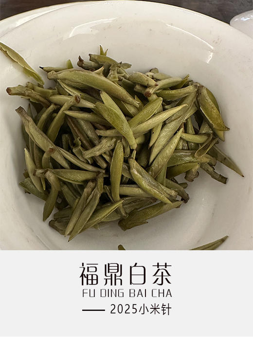 2025小米针 商品图1