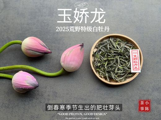 【2025春茶】2025荒野牡丹王，生在了倒春寒的季节，清润，柔甜，如浆似汤，野性难驯（50克） 商品图3