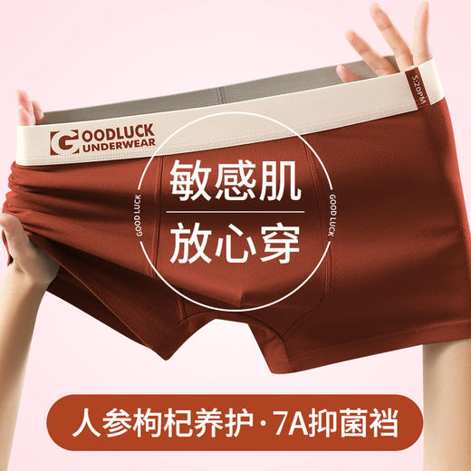 【无感上身❗枸杞养护内裤】从内到外柔软体验，枸杞护盾养护滋润，温变底裆有效抑jun，立体囊袋给足空间感，莫代尔抗jun透气防潮湿四角唤醒野兽送男友多条装QQ 商品图2