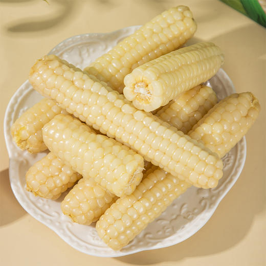 天沐农蜜西双版纳拇指小玉米 1000g/箱 白糯拇指玉米 商品图4