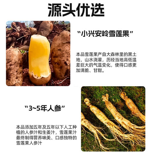 【顺丰包邮】九峰山养心谷雪莲果人参饮料大餐救星果汁果饮健康送礼佳品 商品图2