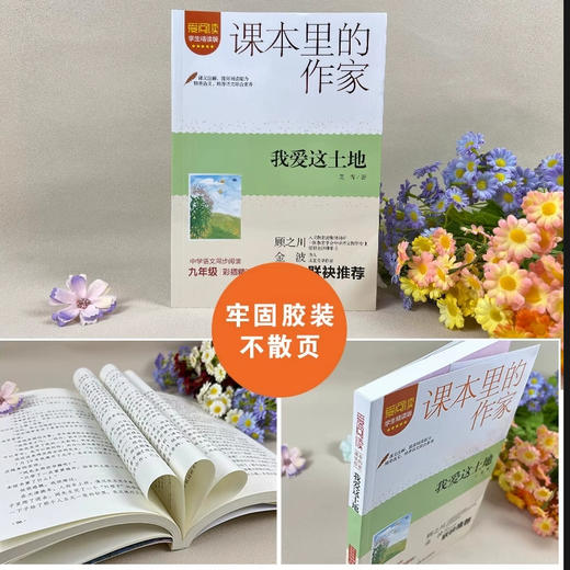 爱阅读 课本里的作家 我爱这土地 商品图3