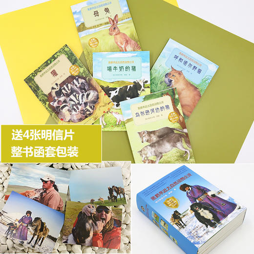 黑鹤亲近大自然动物小说（5册装） 商品图3