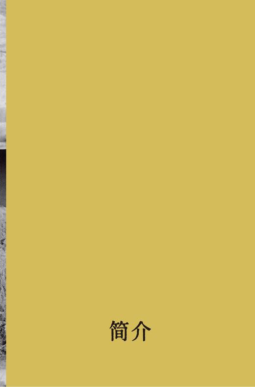 乔治亚·欧姬芙：我独居于世界的尽头 艾莉西亚·伊内兹·古斯曼/著 弗里达·卡罗；墨西哥；蓝房子 广西师范大学出版社 商品图3