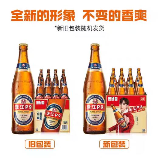 珠江啤酒 P9啤酒9度 560ml*1瓶/6瓶/12瓶 商品图5