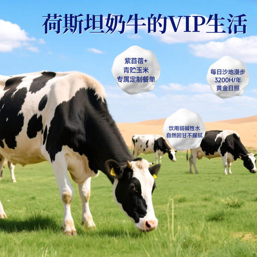 有机纯牛奶  4.0g乳蛋白 145mg/100ml原生高钙   自然回甘不腥腻 200ml*10盒 商品图5