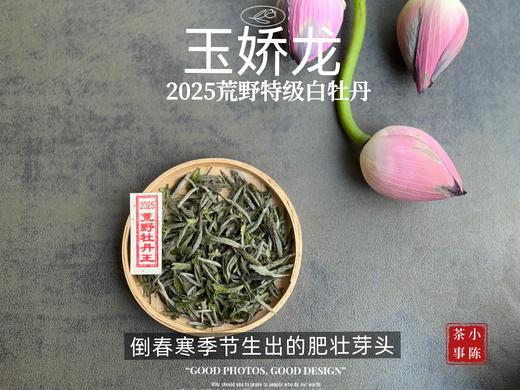 【2025春茶】2025荒野牡丹王，生在了倒春寒的季节，清润，柔甜，如浆似汤，野性难驯（50克） 商品图0