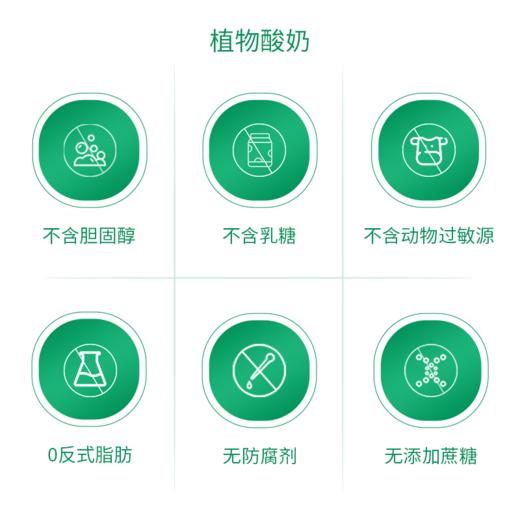植物酸奶 非转基因大豆发酵原味无蔗糖家庭装1kg/桶【顺丰包邮】 商品图5