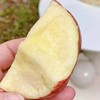 【山东红富士苹果】圆润饱满 果香浓郁 肉质细腻 香甜可口 营养美味 3种规格任选 商品缩略图3