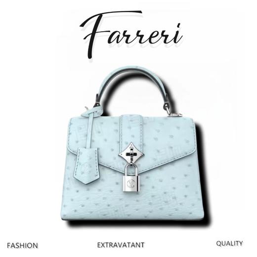 驴家浅蓝哑光鸵鸟纹银芯Rose des Vents 手袋 商品图0