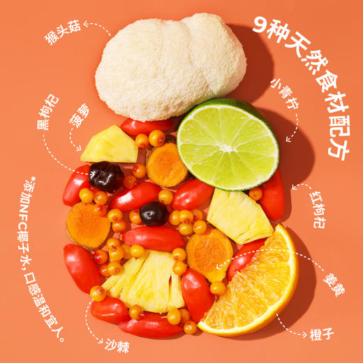 有乐岛/一口枸杞猴头菇饮 温和养养助力修复 商品图3