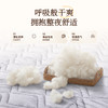 雅芳婷澳洲羊毛舒逸护脊硬床垫家用卧室透气干爽床垫金钢五环弹簧 商品缩略图2