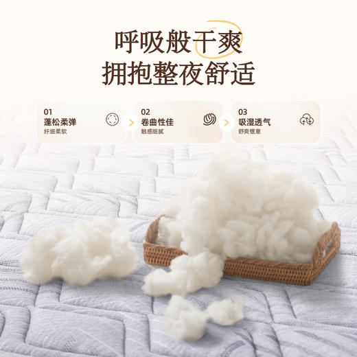 雅芳婷澳洲羊毛舒逸护脊硬床垫家用卧室透气干爽床垫金钢五环弹簧 商品图2