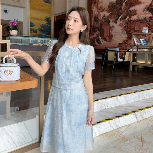 奢姿大码女装2025夏季胖妹妹新款格子绣圆点轻奢休闲圆领连衣裙9952822301 商品图2