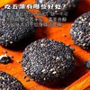 【醒粉福利14.9元3箱】五黑麻薯营养特产美食糯糯叽叽健康滋补早餐饱腹休闲零食独立包装 商品缩略图4