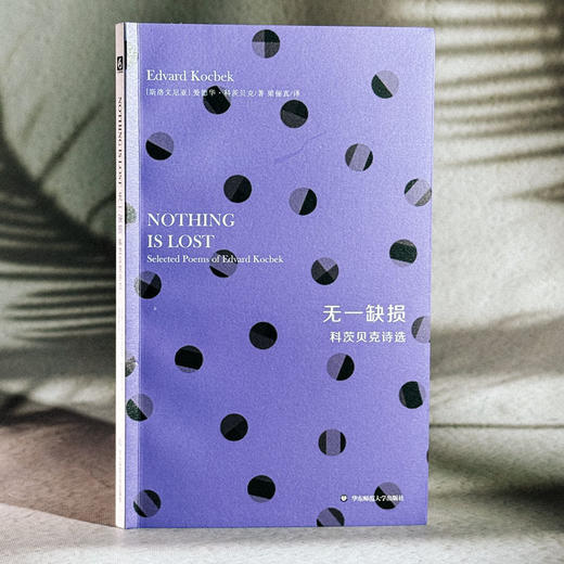 无一缺损 科茨贝克诗选 斯洛文尼亚文学丛书 六点图书 商品图3