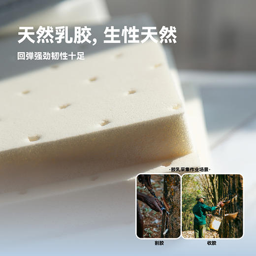 雅芳婷床垫家居床上用品美姿享梦床垫LK058 商品图4