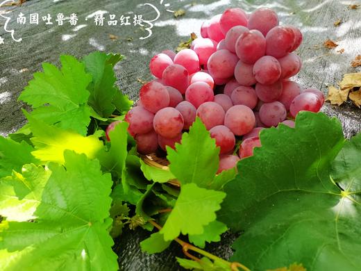 南国吐鲁番精品红提 3斤精品装(2~3串)单果6~8g 商品图0