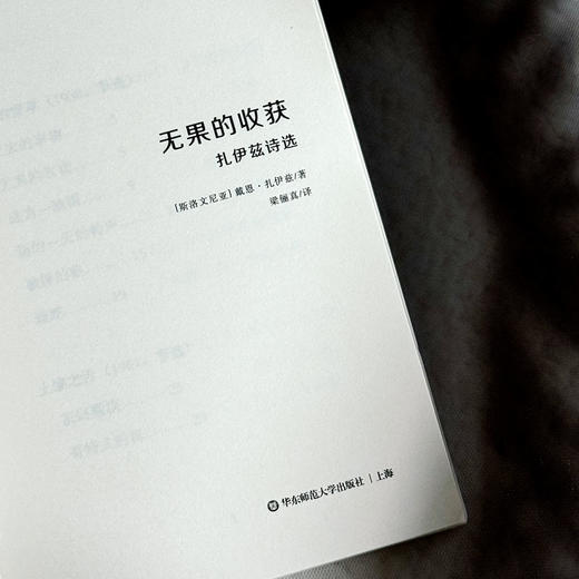 无果的收获 扎伊茲诗选 斯洛文尼亚文学丛书 六点图书 商品图5