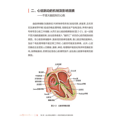 生命救在身边 心肺复苏与海姆立克急救技能 王永晨 常广明 介绍了针对不同人群的心肺复苏操作 配备图片与视频资源 人民卫生出版社 商品图4