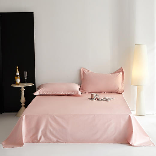 100支全棉贡缎纯色纯棉床单 商品图0