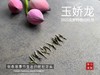【2025春茶】2025荒野牡丹王，生在了倒春寒的季节，清润，柔甜，如浆似汤，野性难驯（50克） 商品缩略图5