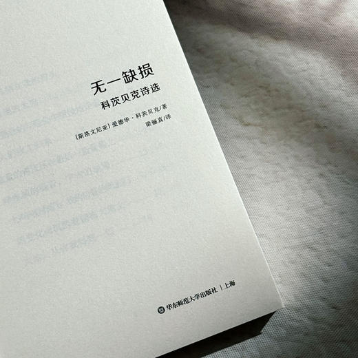 无一缺损 科茨贝克诗选 斯洛文尼亚文学丛书 六点图书 商品图5
