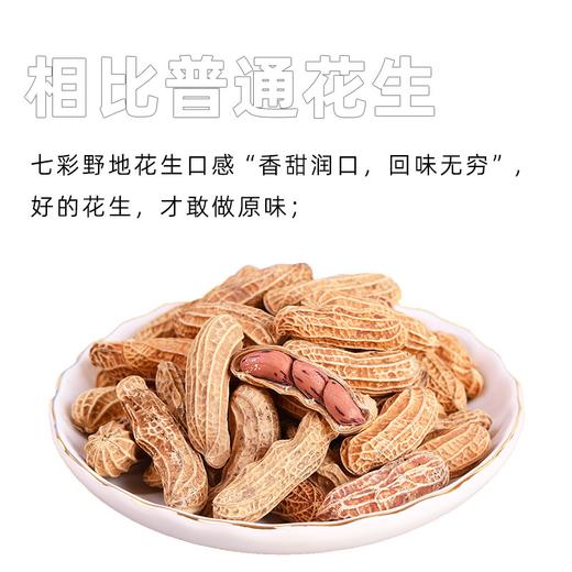 膳良果七彩花生 云南西双版纳特产带壳原味炒熟500克袋装 商品图4