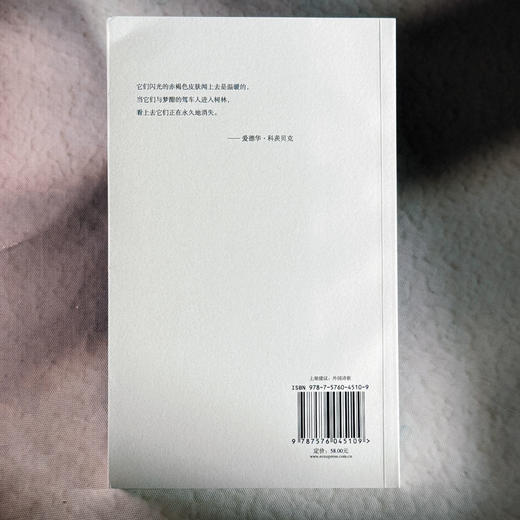 无一缺损 科茨贝克诗选 斯洛文尼亚文学丛书 六点图书 商品图2