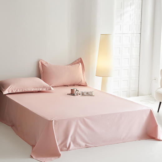 100支全棉贡缎纯色纯棉床单 商品图1