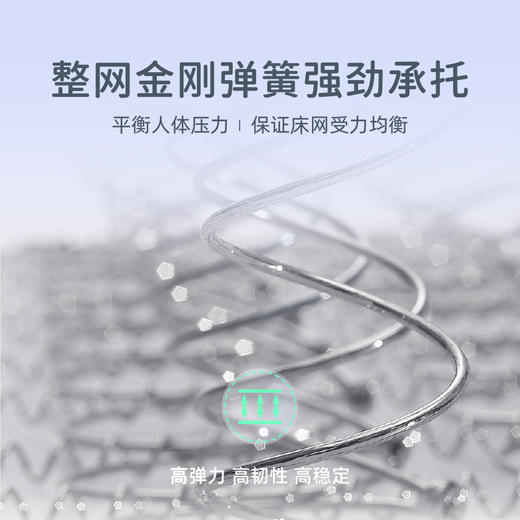 雅芳婷床垫家居床上用品睡姿年华床垫LK059 商品图2
