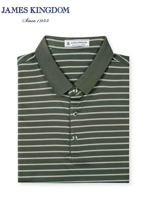 占姆士男士含桑蚕丝条纹POLO衫新    上青&绿色 商品图2