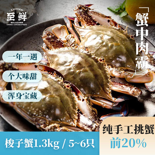 【有钳有钱】精选梭子蟹1.3kg5-6只 液氮锁鲜速冻 壮实饱满 商品图2