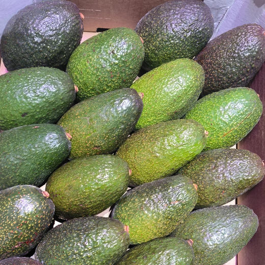 秘鲁牛油果 6粒（2-2.2斤） 商品图4