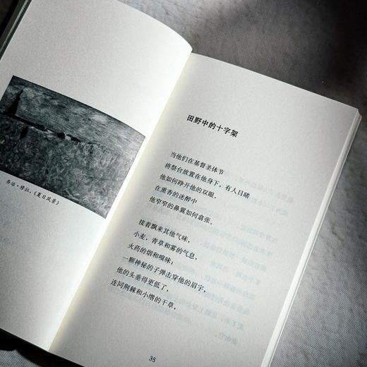 无一缺损 科茨贝克诗选 斯洛文尼亚文学丛书 六点图书 商品图9