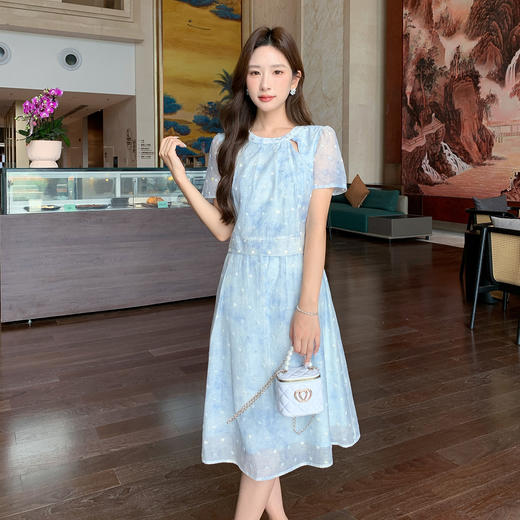 奢姿大码女装2025夏季胖妹妹新款格子绣圆点轻奢休闲圆领连衣裙9952822301 商品图0