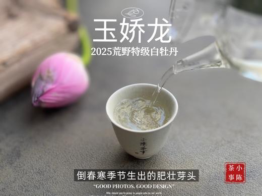 【2025春茶】2025荒野牡丹王，生在了倒春寒的季节，清润，柔甜，如浆似汤，野性难驯（50克） 商品图13