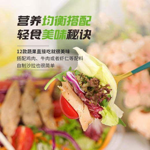 月套餐下单赠沙拉汁|12种新鲜蔬菜缤纷沙拉碗 商品图3