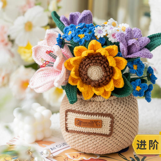 苏苏姐家心语花卉盆栽手工钩针DIY编织毛线团家居摆件材料包 商品图0