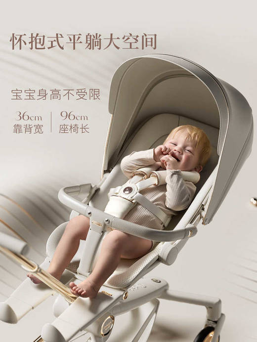 【Delama德拉玛】Q2 大轮版 商品图3