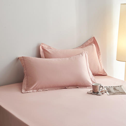 100支全棉贡缎纯色纯棉床单 商品图2