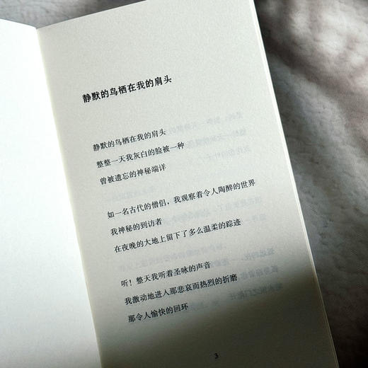 无一缺损 科茨贝克诗选 斯洛文尼亚文学丛书 六点图书 商品图7