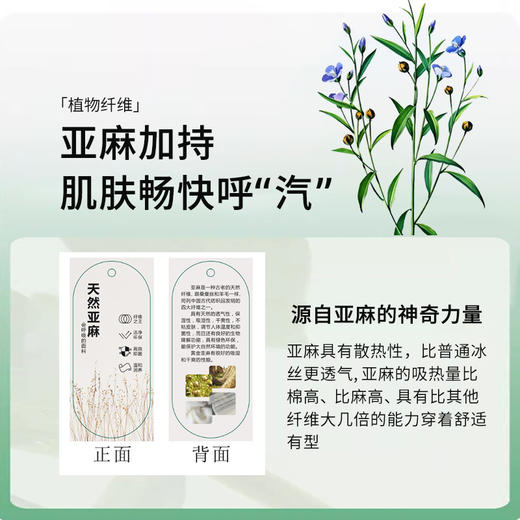 【超值3条装】“爱ma仕同款面料 法国诺曼底生态亚麻” MEINS/梅因斯 天然亚麻呼吸裤 女士内裤 清爽透气 商品图3