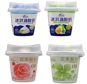 塘日塔格花果酸奶冰淇淋风味酸奶生牛乳发酵140g杯装健康营养早餐