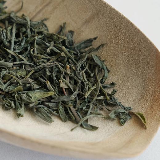 守艺 · 枞绿 桐木关绿茶 2025新茶 50克/罐 商品图1
