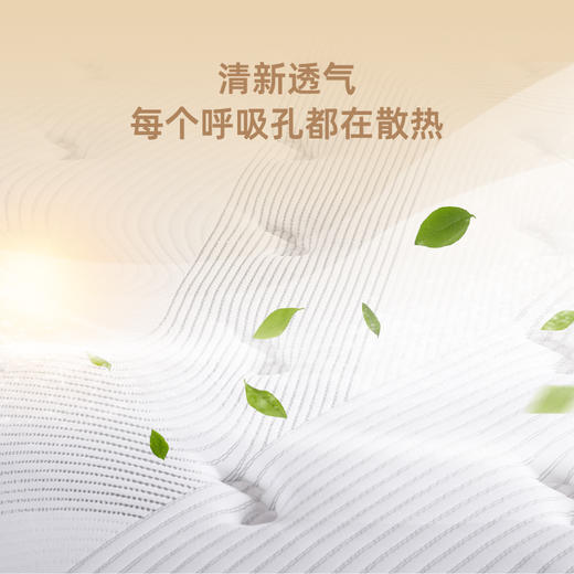 雅芳婷床垫家居床上用品柏拉图床垫(新款)LK078 商品图4