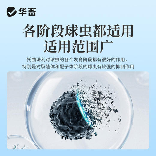华畜5%球虫清托曲珠利混悬液兽用仔猪犊牛用抗球虫药腹泻拉稀兽药 商品图2