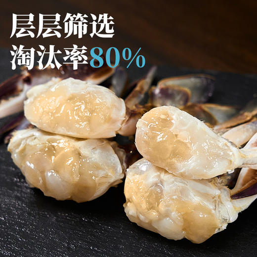 【有钳有钱】精品梭子蟹蟹块 380g大号 肉肥 商品图2